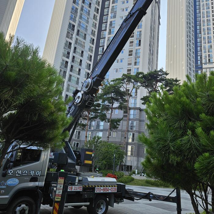 235149625_82yMrvS0_83fa438d6c7ca4de49630d4945edefaa60c36f57.jpg 이미지크게보기