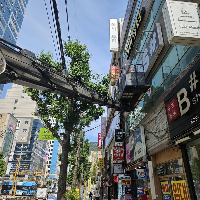 235149625_DnRVyCuk_79950c1f859ba8656de406236fdf9a476164e945.jpg 이미지크게보기